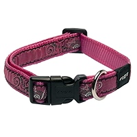 Rogz Fancy Dress Scooter Dog Collar, Medium, Lime Bone
