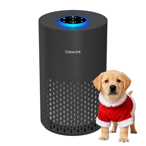 Air Purifiers for Bedroom Home, Cobectal Air Cleaner with H14 True HEPA 3-in-1 Filter for Room up to...