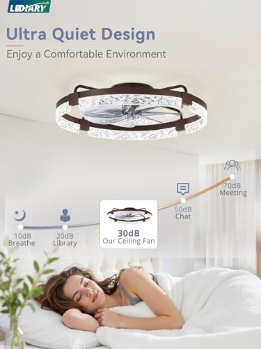 Image of LEDIARY 2-Pack 24 inch Ceiling Fans with Lights, APP & Remote, Brown