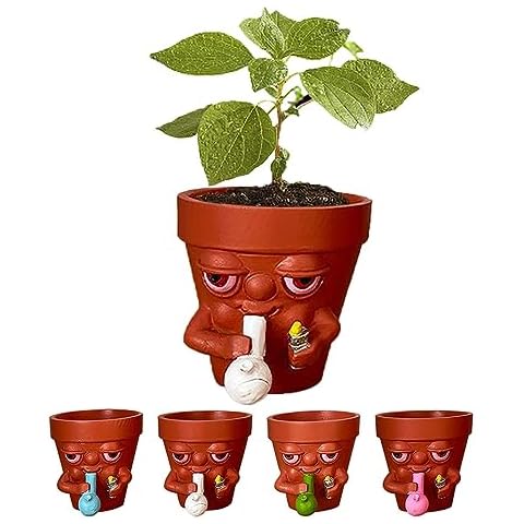 BEMKWG Personalized Funny Planter Mini Resin Plant Pots Pot Planter for Succulent Creative Flowerpot Holding Unique Planters for Indoor Small Plants Potted (2.4" White) Cover