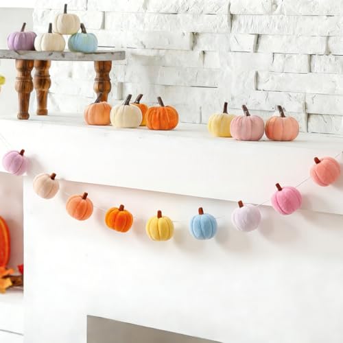 Whaline Fall Party Felt Banner Boho Colorful 3D Pumpkin Hanging Garland Cute Pre-Strung Bunting Garland for Autumn Thanksgiving Home Mantel Wall Window Party Decor