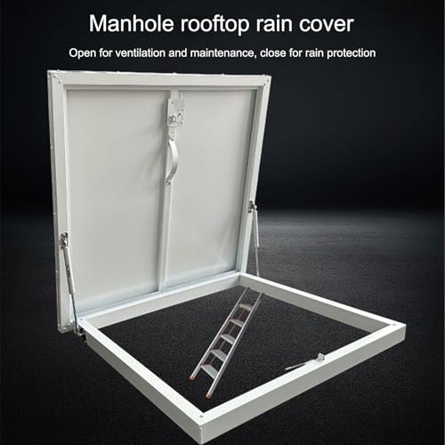 Claraboya impermeable para techos planos con puerta de acceso resistente gris 3