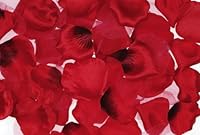 Algopix Similar Product 1 - Big Value Rose Petals, 300-Piece, Red