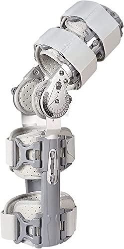 Gu[XAV_[Xgbvt߉\ȃqWtGu[XArƉErp̏pGT|[gCrCU[veN^[AjƏ̗