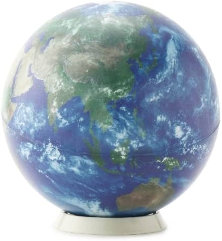 41rZ4JoLRYL._AC_UF894,