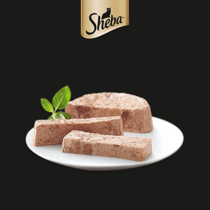 Sheba Paté Classics Katzenfutter mit Lachs, 85 g – 22 Schalen: insgesamt 1870 g – Ansicht 3