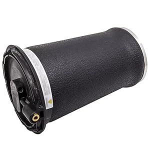 DZWDY Luftfeder Hinten für Range Rover P38