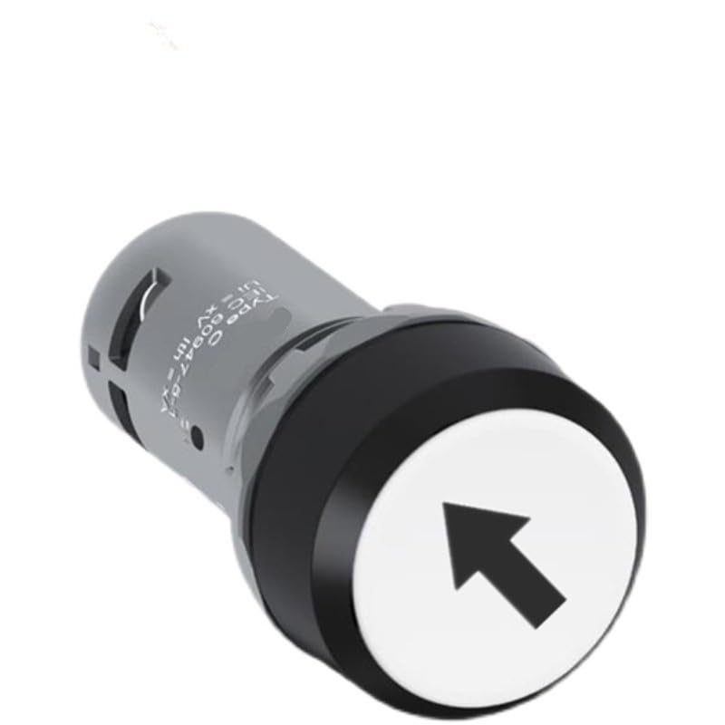 Push Button switches with Function Symbol CP9-1005