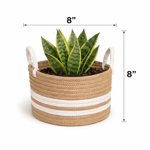 Image of ABEERA Jute & Cotton Big Size Basket for Storage, Clothes, Kitchen (1 Piece with Handle, Beige-White, 20.32 x 20.32 cm) - Round Woven Handcrafted Basket for Toys, Wardrobe, Plants (Small 8x8)