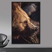 Framed Canvas Wall Art Bear Animals Bear Expressive Living Room Multicolor Photography Tropical - 16x24 inches