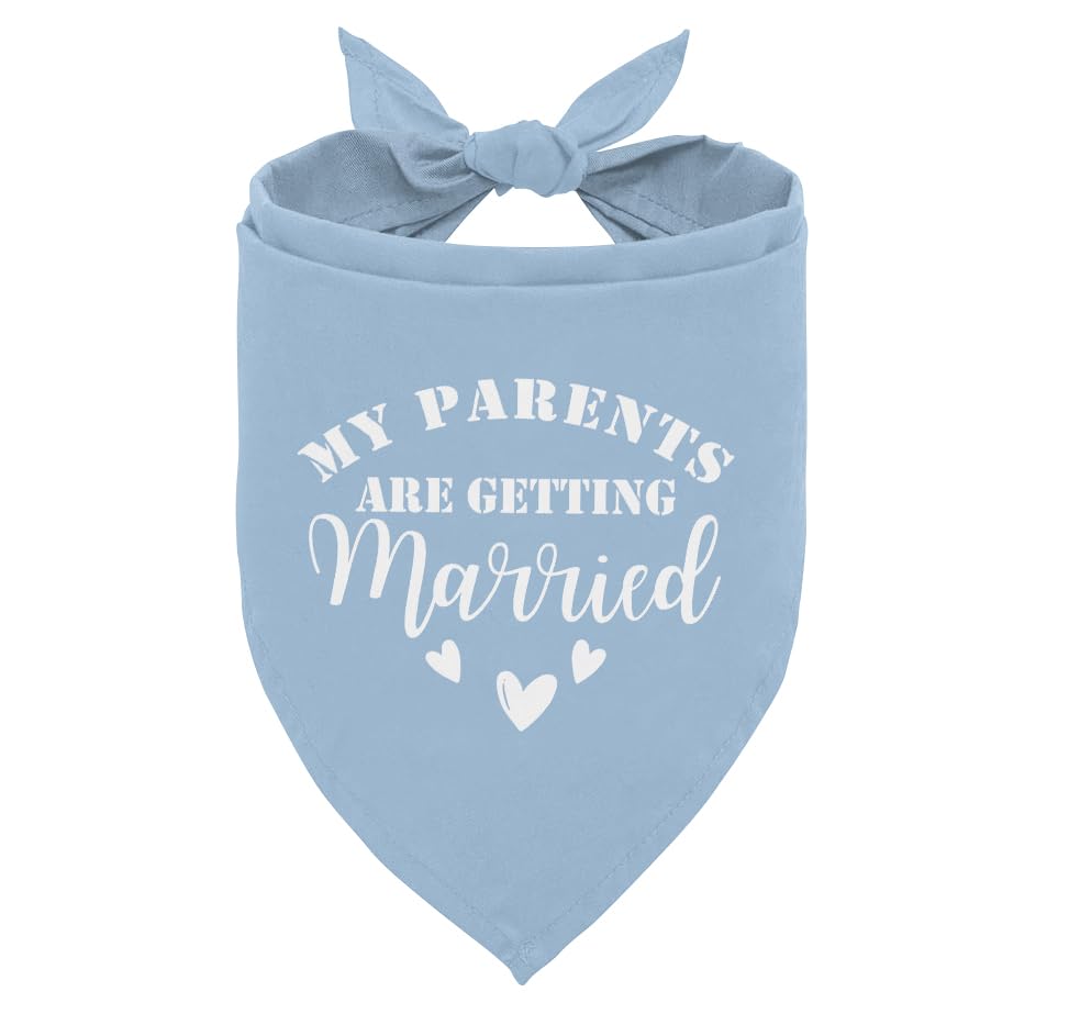 Baby Blue Wedding Bandana