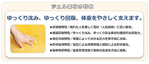 Amazon.co.jp: 【高田ベッド 整体マクラ】 フェイスGELマット A001