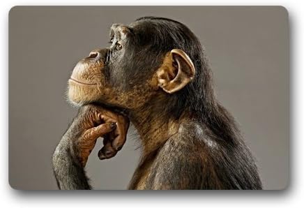 Yestore Custom Hipster Monkey Gorilla 15.7"(W) x 23.6"(H) Non-Woven Fabric Multifuntional Doormat