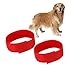 TOYANDONA 4pcs Rooster Collar Practical Noise-reducing Nylon Neckband for Chickens and Geese Safe and Durable Red