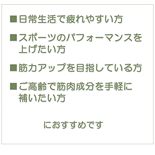 ボディウイング BCAAタブレット 120粒