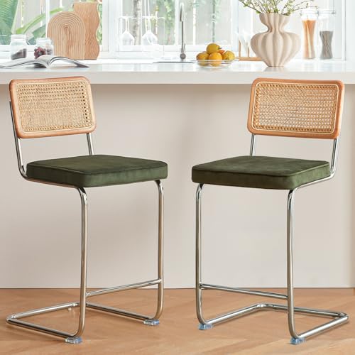 Natural Rattan Bar Stools Set of 2 with Solid Wood Back, 24 Inch Mid Century Modern Counter Height...