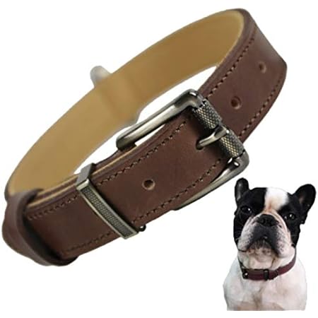 Amazon Beanspet 犬 ベーシック 首輪 犬首輪 革 おしゃれ かわいい 本革 犬の首輪 いぬ くびわ 犬用品 M ブラウン ビーンズペット Beans Pet ベーシック首輪 通販 Amazon Beanspet 犬 ベーシック 首輪 犬首輪 革 おしゃれ かわいい 本革 犬の首輪 いぬ くびわ 犬用品 M ブラウン ビーンズペット Beans Pet ベーシック首輪 通販