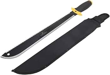 41rZHKZlQpL._AC_UF350,