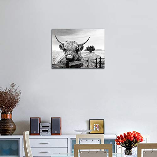 Highland Cow Canvas Black And White Landscape Pasture Hairy Cow Animal Wall Art Pictures Canvas Wall Art Farmhouse Prints Photo Contemporary Cow Decor Paintings Home Decoration Artwork 12"X16" #TOP3