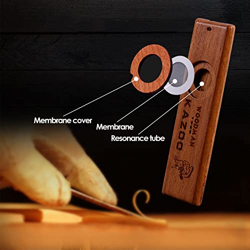 Kazoo en Bois WorthPlanet Bois Kazoo avec Boîte en Métal Excellent Instrument Compatible avec la Guitare et l’Ukulélé… - Les Beatles, Paul McCartney, John Lennon, RIngo Starr, George Harrison Kazoo en Bois WorthPlanet Bois Kazoo avec Boîte en Métal Excellent Instrument Compatible avec la Guitare et l’Ukulélé… – Image 6