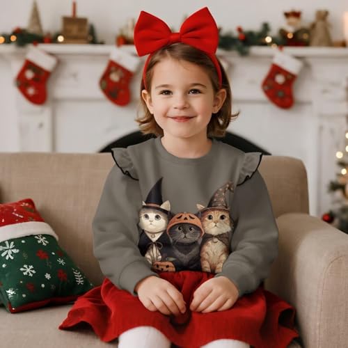 Toddler Girls Ruffle Long Sleeve Shirt Crewneck Long Sleeve Blouse Tops for Fall Winter Sweatshirt 1-8 Ages3