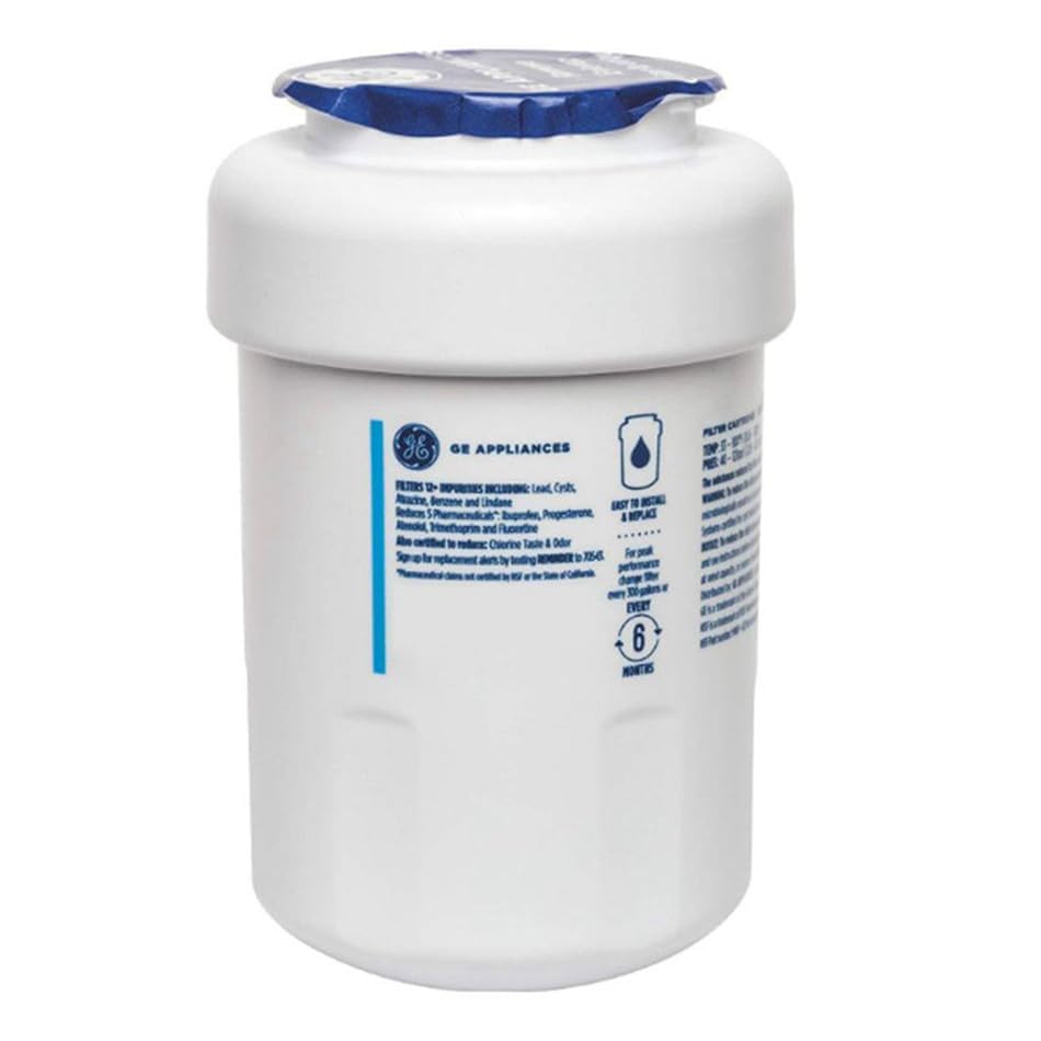 Filtro Acqua Frigorifero Tipo Americano General Electric Originale