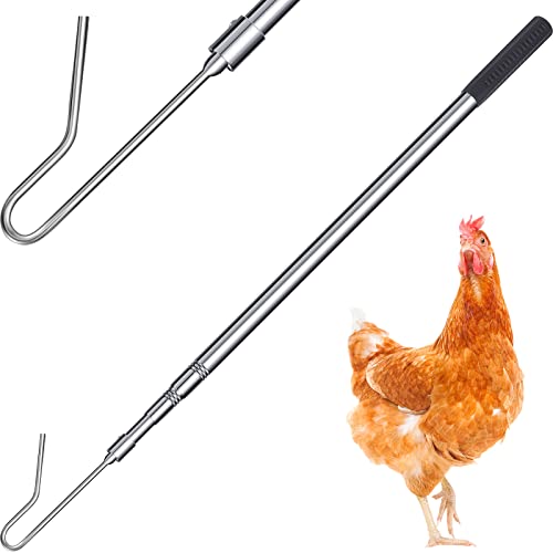 Attrape-poulet rétractable en acier pour attraper les oies sans fatigue