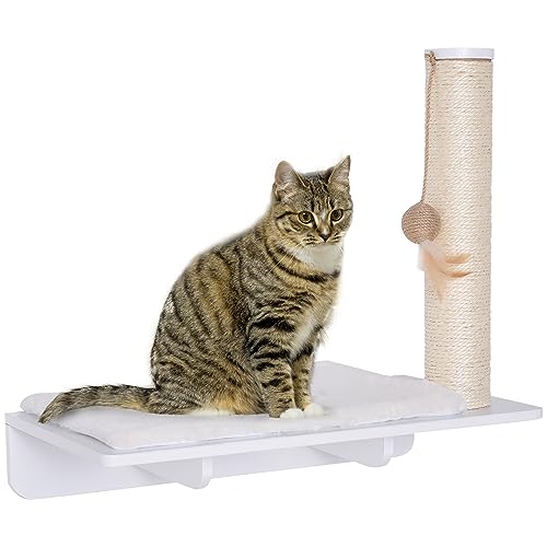 PawHut Kletterwand Katzen, Wandkratzbaum, Katzenliege mit Kratzbaum,53cm Katzenregal mit Ballspielzeug, Plüschauflage, Katzenkratzbaum, Katzensäule,...