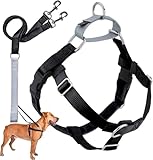 2 Hounds Design Freedom No Pull Dog Harness, Adjustable Harness and Leash Set, Easy Walking & Comfortable Control, Fits Small, Medium & Large Dogs, Solid Colors, Made in USA, 1' LG, Black