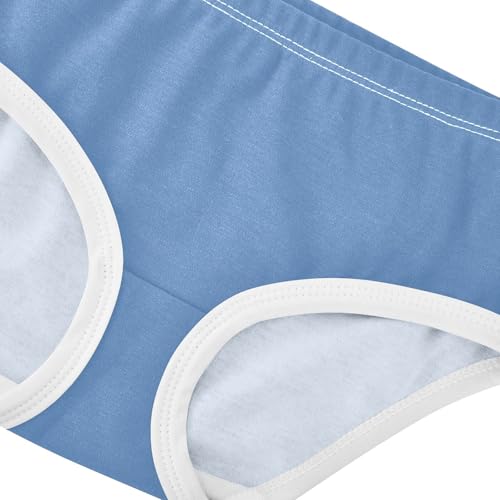 Joisal Slate Blue Toddler Girls Underwear 2t Cotton Little Girl Panties Funny Briefs Undies Kids4