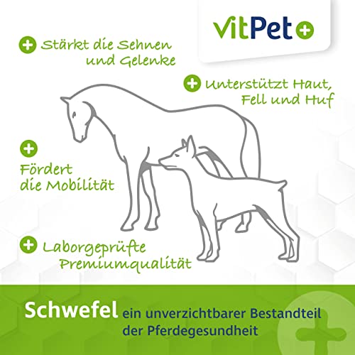 Foto von VitPet+ MSM Pferd – Premium MSM Pulver für Pferde im 1,8 kg Eimer inkl. Dosierlöffel (Methylsulfonylmethan- / Schwefel-Pulver für Pferde und Hunde)