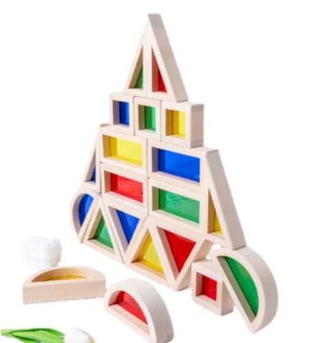 Damika 木管楽器のシーン組み立て、迷路積み木、転がるボールは幼児や小学生に適しており、創造性と論理的思考力を養い、男の子にも女の子にも最適な贈り物です。 (大粒アクリル積み木 (20P))