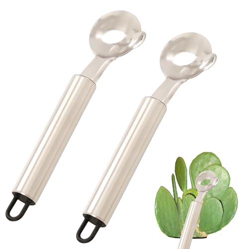 2 PCS Cactus Peeler, Stainless Steel Pelador De Nopales, Noodle