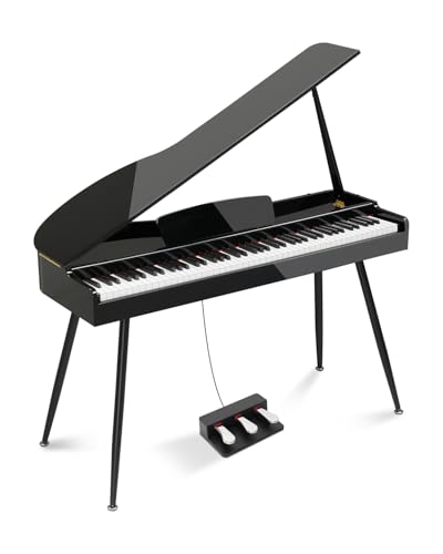 Ktaxon 88 Key Weighted Action Grand Piano, Foldable Digital Piano Keyboard with Removable Music Stand, Stereo Headphones, Dust Cover, Music Clip, Cloth, Sticker, Full Equipment for Beginner (Black)