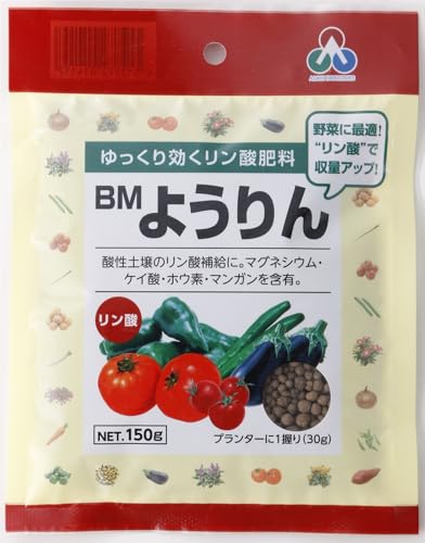 AOA 엿   Ɍ 悤 BM悤 150g _ỹ_⋋ɎgpłeʗvfܗL̊Ɍ_엿