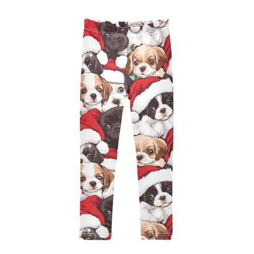 Dogs in The Hat Girls Leggings,Workout Leggings for Girls Toddler Athletic Leggings Size for 3-10T