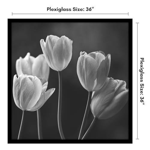 Americanflat 36x36 Picture Frame with Polished Plexiglass - Epic Collection - Square Picture Frame with Engineered Wood - Wide Photo Frames for Wall display - Black