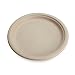 Earth's Natural Alternative Plate, 7-Inch, 20-Pack