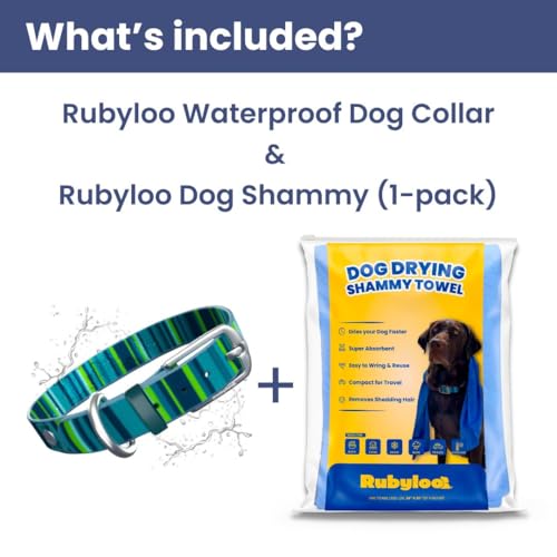 Image of Waterproof Dog Collar (Teal-L 1 inch) and Shammy (1-Pack) Set for Medium Large Dogs Easy Clean Odor Free Drying Gear