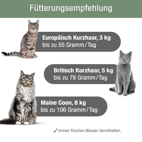PLATINUM - Katzenfutter MeatCrisp Adult Fish aus dem Frischfleischtrockner - 1,5kg Katzenfutter trocken mit 82% Frischfleisch - Trockenfutter für Katzen - Crispy Biss und leicht verdaulich