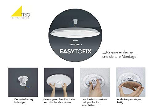 Trio Leuchten Lotus Lampada da soffitto 45 W