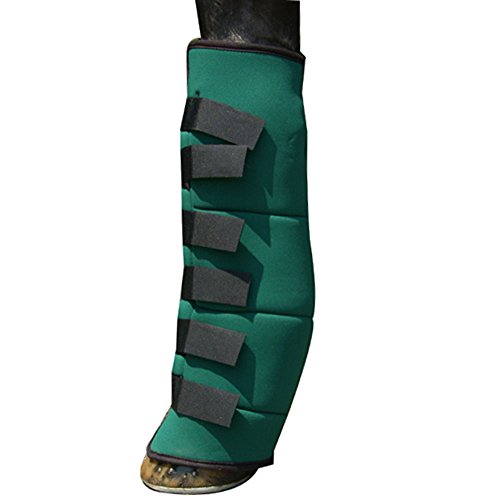 Glacé de coffre Intrepid International cheval 6 poche pour protection et soins des tendons