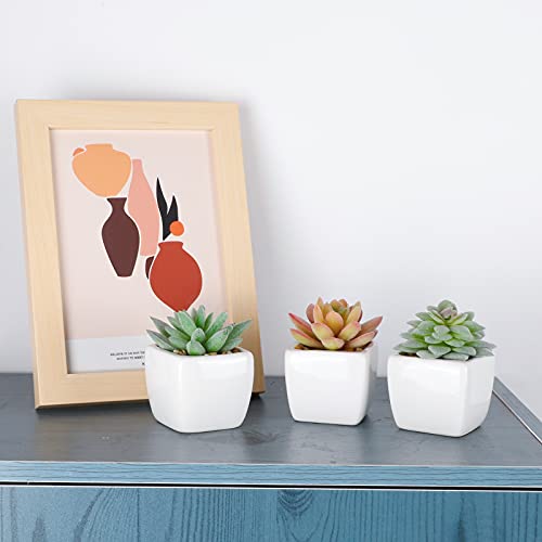 Funarty Artificial Succulent Plants In Pots, Fake Succulent Small Potted Faux Succulent Plants, Mini Fake Plants In White Ceramic Pots Set Of 5, Desk Plant For Home Bathroom Small Spaces Decoration #TOP6
