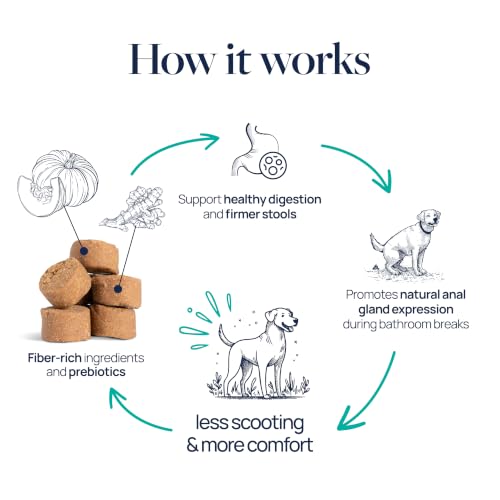 Image of Veterinary Formula Anal Gland Support Chews for Dogs, 120 Count | no scoot chews, dog anal gland supplement, pumpkin and probiotics, soft chews for all breeds and sizes