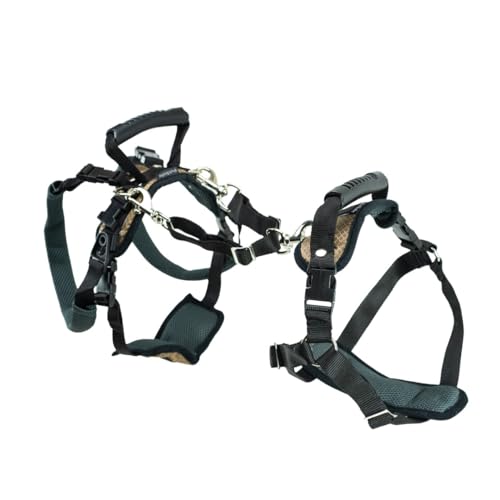 PetSafe Carelift, Unterstützungsgeschirr für Hunde, Ganzkörper-Hebehilfe mit Griff, für behinderte oder ältere Hunde, komfortabel, atmungsaktiv, einfach verstellbar, M