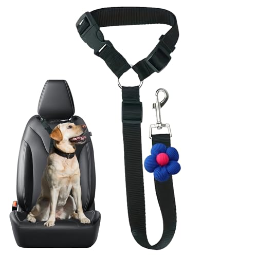 ybgV[gxg,\  [v | ^ ԗp SXgbv,^ ^ ^ qL q s ԗs ʋ ^]S