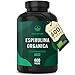 600 Comprimidos de Espirulina Ecologica - 4000mg/día - 100% Natural Alga Spirulina Bio, Biológico Proteina Vegana, Testada en Laboratorio, alta dosificación, sin aditivos -TRUE NATURE