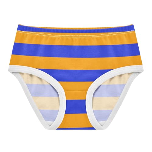 Orange Navy Stripe Toddler Girls's Underwear 2T