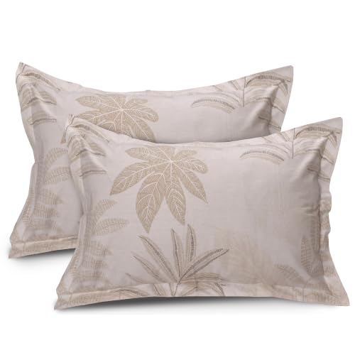 Image of Huesland by Ahmedabad Cotton 144 TC Double Bedsheet Cotton with 2 Pillow Covers | Pastle Orange, Moccasin & Antique White