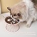 Xoeryoy Cat Food Bowl Ceramic Cat Bowl with Stand Cute Raised Feeding Plate Elevated Pet for Dog Feeder